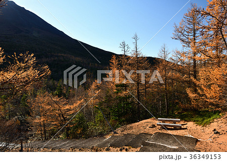 奥庭・奥庭自然公園の紅葉（山梨県） 36349153