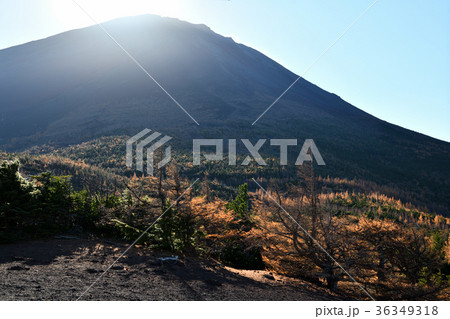 奥庭・奥庭自然公園の紅葉（山梨県） 36349318
