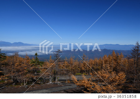 富士山の御庭・紅葉と富士スバルライン（山梨県） 36351858