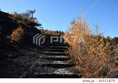 富士山 御庭・紅葉と眺望（山梨県） 36351870