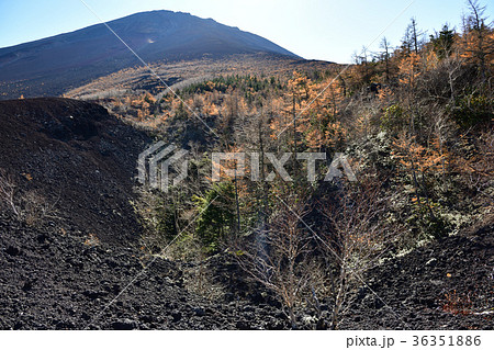 御庭・富士山の紅葉（山梨県） 36351886