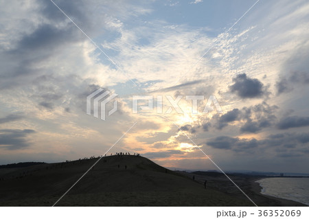 日が傾きかけた鳥取砂丘|夕暮れ前の光に包まれる砂丘の風景 日が傾きかけた鳥取砂丘|夕暮れ前の光に包まれる砂丘の風景 36352069