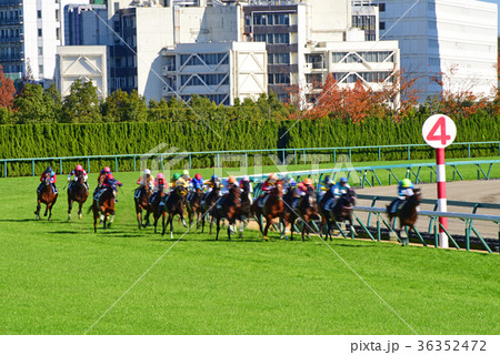 中京師走 36352472