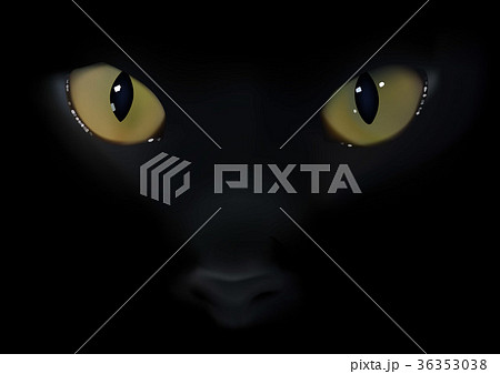 Black Cat Eyes 36353038