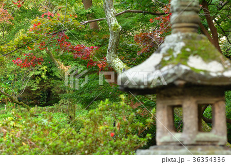 横浜・三渓園 横浜・三渓園 36354336