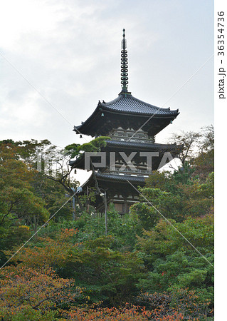 横浜・三渓園 36354736