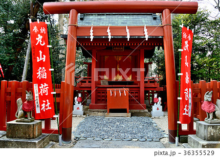 鶴岡八幡宮境内の丸山稲荷社 鶴岡八幡宮境内の丸山稲荷社 36355529
