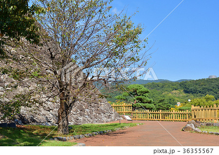 日本100名城・甲府城 日本100名城・甲府城 36355567