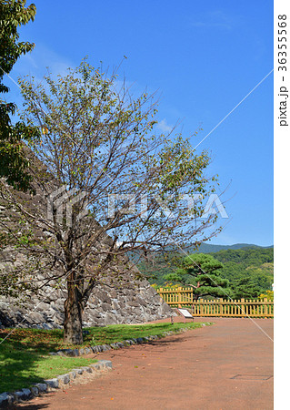 日本100名城・甲府城 日本100名城・甲府城 36355568