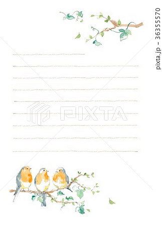 ロビンと木の葉 ポストカード 便箋のイラスト素材 36355570 Pixta