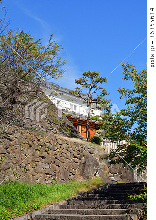 日本100名城・甲府城 日本100名城・甲府城 36355614