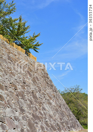 日本100名城・甲府城 日本100名城・甲府城 36355734