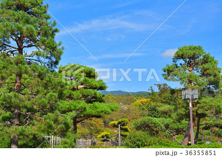 日本100名城・甲府城 36355851