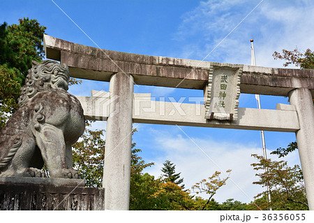 山梨・武田神社 36356055