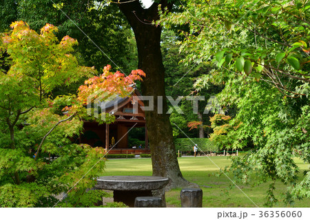 山梨・武田神社 36356060