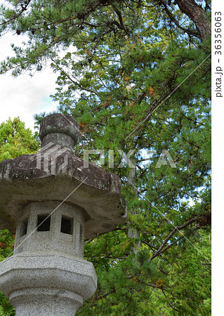 山梨・武田神社 36356063