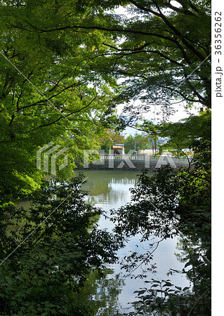 山梨・武田神社 山梨・武田神社 36356262