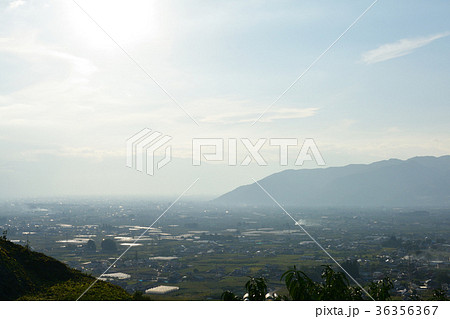 山梨・ぶどうの丘 山梨・ぶどうの丘 36356367