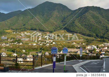 山梨・ぶどうの丘 36356401