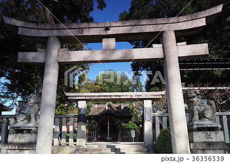 長野神社 長野神社 36356539