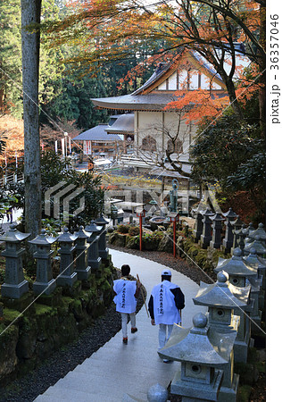 四国霊場第66番札所「雲辺寺」紅葉の下をの本堂へ向かうお遍路さん 36357046