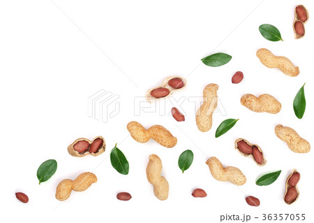Peanuts with shells isolated on white background Peanuts with shells isolated on white background 36357055