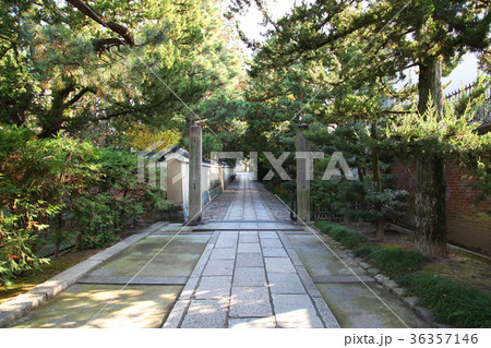 建仁寺　大統院に向かう道 36357146