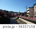 修善寺 36357158