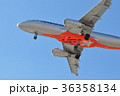 シルバー色旅客機の着陸態勢　腹から 36358134