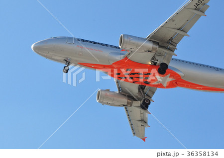 シルバー色旅客機の着陸態勢　腹から 36358134