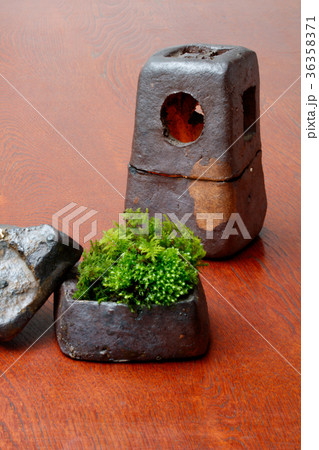 香合に苔と香炉 36358371