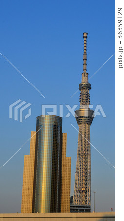 Cityscape of Tokyo, Japan Cityscape of Tokyo, Japan 36359129