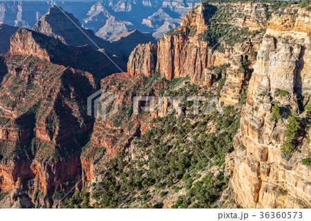 Grand Canyon North Rim Landscape 36360573