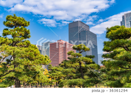 《東京都》丸の内・都市風景 《東京都》丸の内・都市風景 36361294