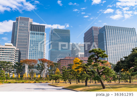 《東京都》丸の内・都市風景 《東京都》丸の内・都市風景 36361295