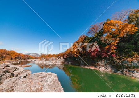 【埼玉】秩父　長瀞のライン下り 36361308