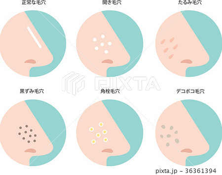 スキンケア 毛穴 鼻のイラスト素材