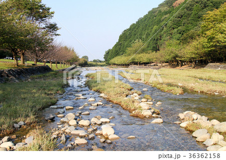 羽根谷だんだん公園 36362158