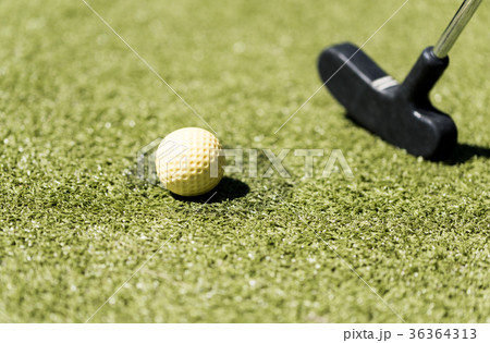 miniature golf 36364313
