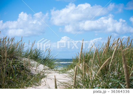 Dunes and sea Dunes and sea 36364336