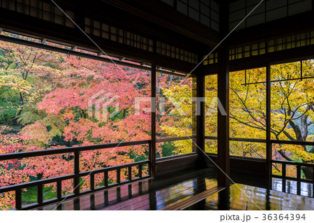 秋の瑠璃光院 36364394