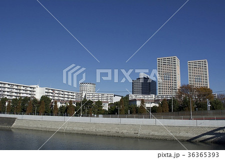 浦安市 12月 36365393