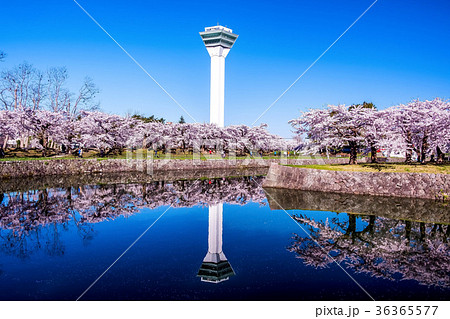 五稜郭公園　（函館市） 36365577