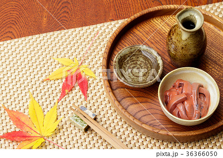 日本酒・燗酒 36366050