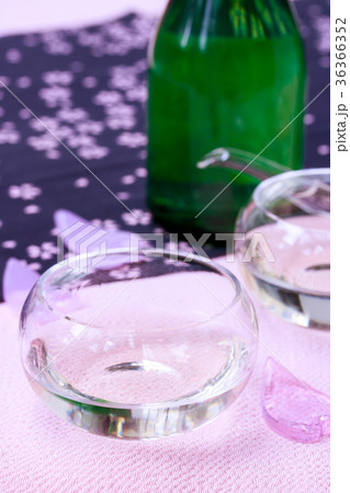 日本酒・夜桜 36366352