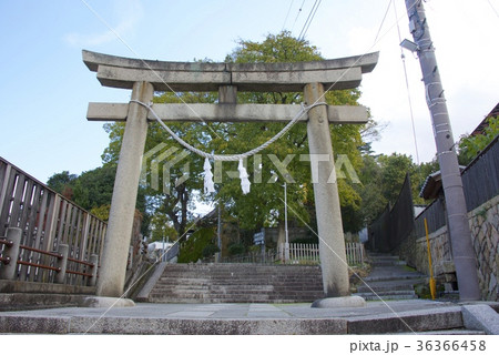 秋の倉敷美観地区(岡山)の阿智神社 秋の倉敷美観地区(岡山)の阿智神社 36366458