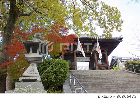秋の倉敷美観地区（岡山）の阿智神社 36366475