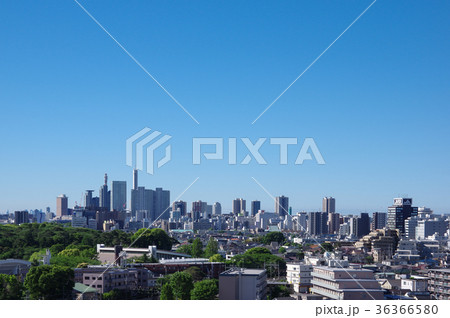 さいたま新都心と大宮公園の緑 さいたま新都心と大宮公園の緑 36366580