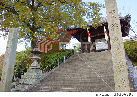 秋の倉敷美観地区（岡山）の阿智神社 36366596