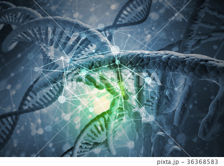 DNA molecules background DNA molecules background 36368583